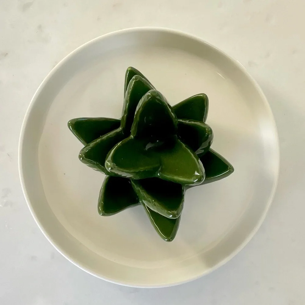 Cactus Ring Holder